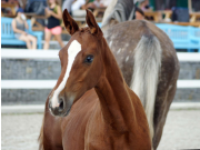 DSC00077