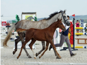 DSC00093