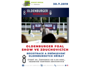 oldenburg foal show